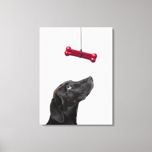 Zwart lab gemengde hond met rood hondenbot canvas afdruk (Voorkant)