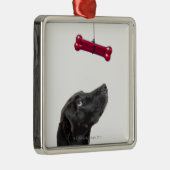 Zwart lab gemengde hond met rood hondenbot metalen ornament (Rechts)