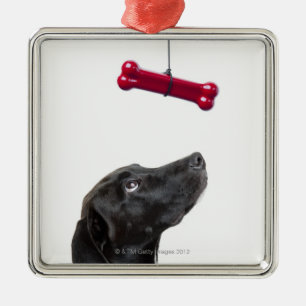 Zwart lab gemengde hond met rood hondenbot metalen ornament