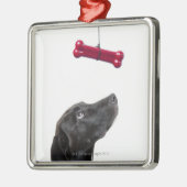 Zwart lab gemengde hond met rood hondenbot metalen ornament (Links)