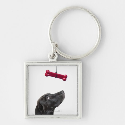 Zwart lab gemengde hond met rood hondenbot sleutelhanger (Voorkant)