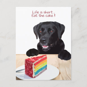 Zwart lab - Het leven is kort, eet de Cake op - La Briefkaart