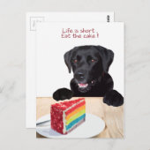 Zwart lab - Het leven is kort, eet de Cake op - La Briefkaart (Voorkant / Achterkant)