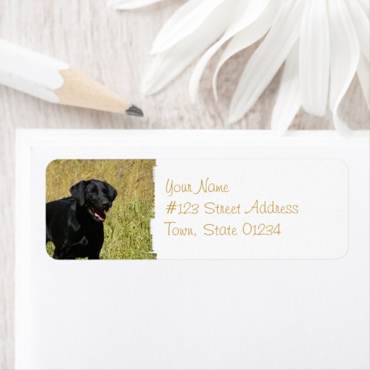 Zwart lab in veldmails etiket (Insitu)