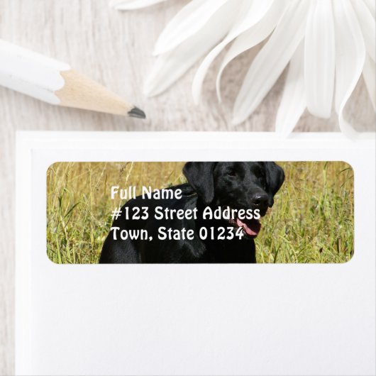 Zwart lab in veldmails etiket (Insitu)