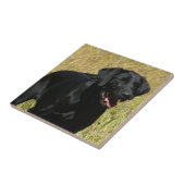 Zwart lab in veldtegel tegeltje (Zijkant)