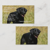 Zwart lab in Visitekaartjes ter plaatse (Voorkant / Achterkant)