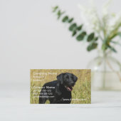 Zwart lab in Visitekaartjes ter plaatse (Staand voorkant)