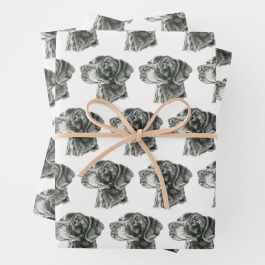 Zwart lab inpakpapier vel (In situ)