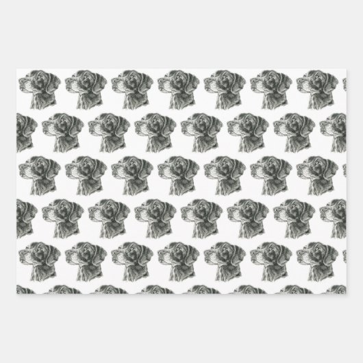 Zwart lab inpakpapier vel (Voorkant)