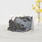 Zwart lab kaart (Gele Bloem)