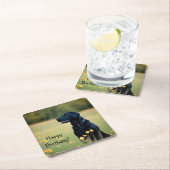 Zwart lab kartonnen onderzetters (Insitu)