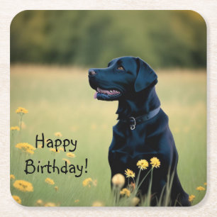 Zwart lab kartonnen onderzetters