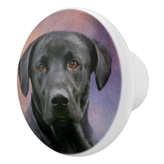 Zwart lab keramische knop (Rechts)