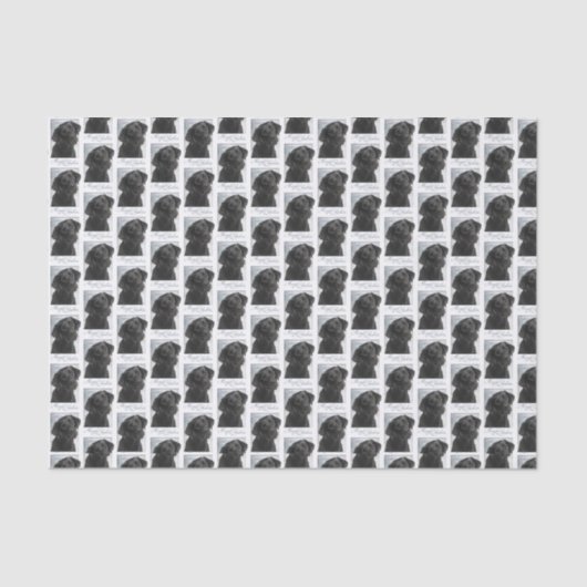 Zwart Lab Kerst Tissue Papier (Voorkant)