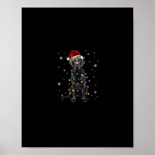 Zwart Lab Labrador hond Kerstverlichting Kerstmis Poster
