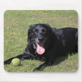 zwart lab leg.png muismat (Voorkant)