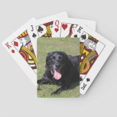 zwart lab leg.png pokerkaarten (Achterkant)