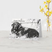 Zwart Lab Liggend In De Zonneverjaardag Kaart (Gele Bloem)