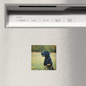 Zwart lab magneet (Insitu (Vaatwasser))