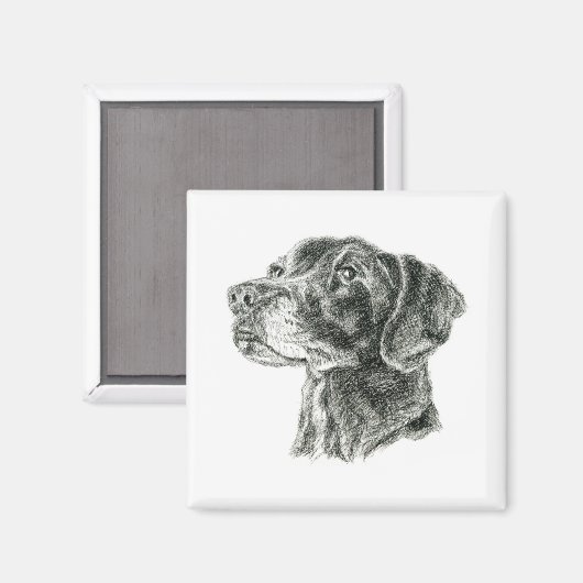 Zwart lab magneet (Voorkant / Achterkant)