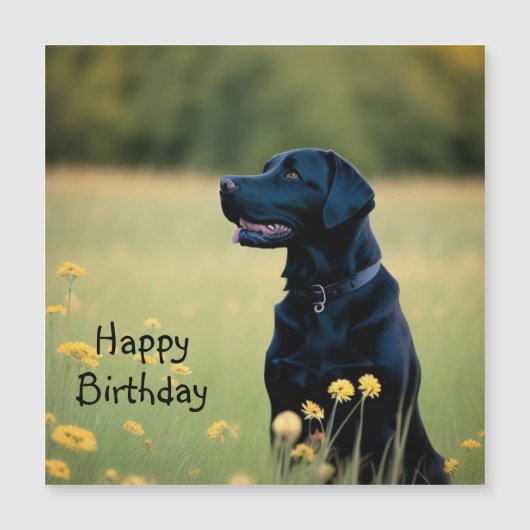 Zwart Lab Magnetische Kaart (Voorkant)