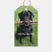 Zwart lab met twee sticks Dog Foto en naam Cadeaulabel (Voorkant)