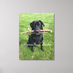 Zwart lab met twee sticks Dog Foto en naam Canvas Afdruk