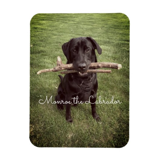 Zwart lab met twee sticks Dog Foto en naam Magneet (Verticaal)