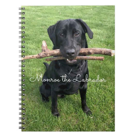 Zwart lab met twee sticks Dog Foto en naam Notitieboek (Voorkant)