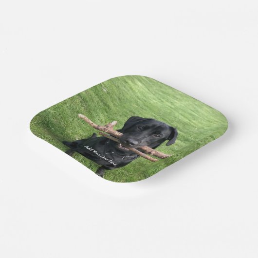 Zwart lab met twee sticks Dog Foto en naam Papieren Bordje (Gebogen)