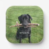 Zwart lab met twee sticks Dog Foto en naam Papieren Bordje (Voorkant)