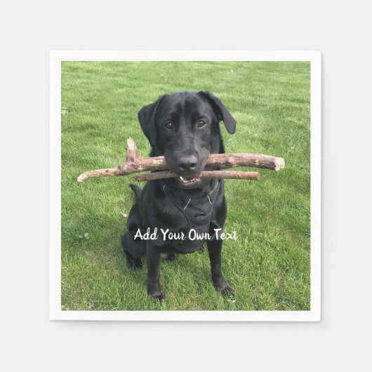 Zwart lab met twee sticks Dog Foto en naam Servet (Voorkant)