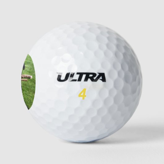 Zwart lab met twee stokken Aangepast Golfballen (Logo)
