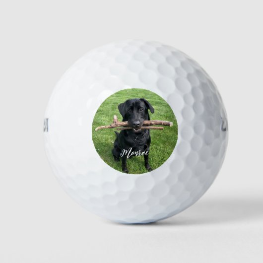 Zwart lab met twee stokken Aangepast Golfballen (Voorkant)