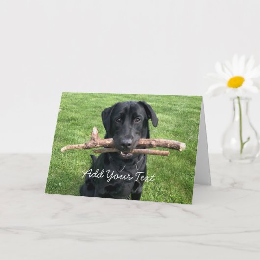 Zwart lab met twee stokken Dog Foto Kaart (Kleine Plant)