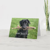 Zwart lab met twee stokken Dog Foto Kaart (Voorkant)
