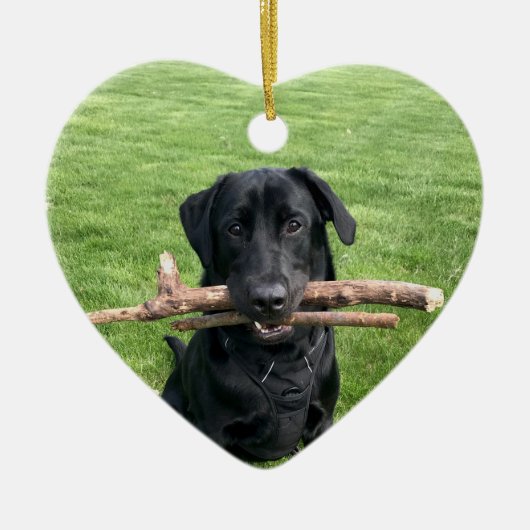 Zwart lab met twee stokken Dog Foto Keramisch Ornament (Voorkant)