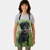 Zwart lab met twee stokken Dog Foto Schort (Insitu)