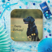 Zwart lab papieren bordje (Feest)