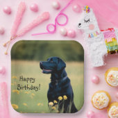 Zwart lab papieren bordje (Feest)