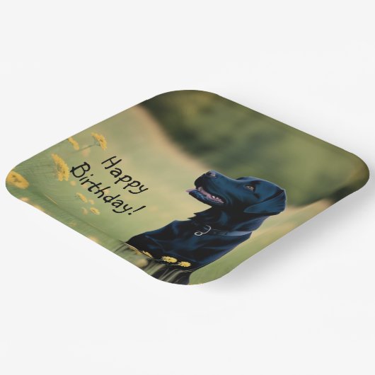 Zwart lab papieren bordje (Gebogen)