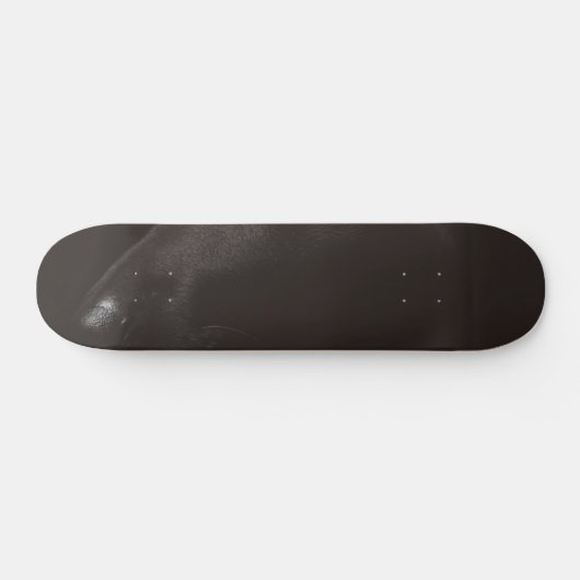 zwart lab persoonlijk skateboard (Horizontaal)