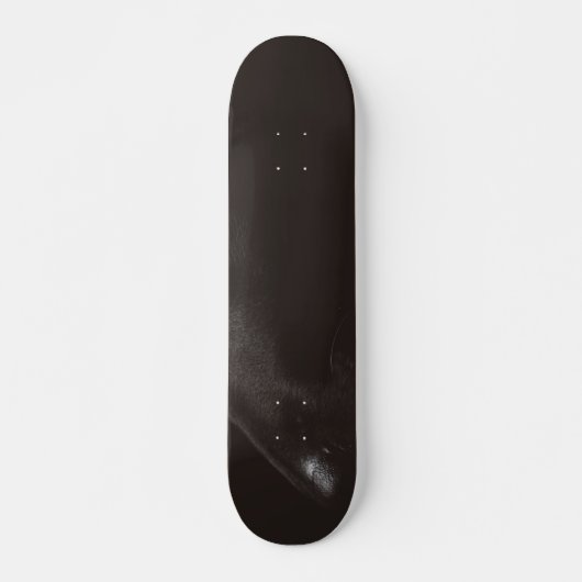 zwart lab persoonlijk skateboard (Voorkant)