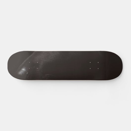 zwart lab persoonlijk skateboard (Horizontaal)