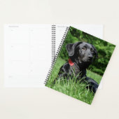 Zwart lab planner (Display)