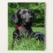 Zwart lab planner (Achterkant)