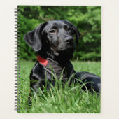 Zwart lab planner (Voorkant)