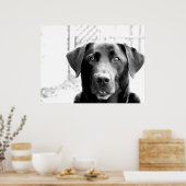 Zwart lab poster (Keuken)