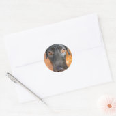 zwart lab ronde sticker (Envelop)